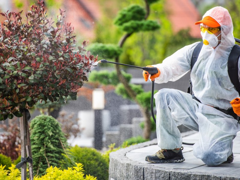 Eceabat Haşere İlaçlama